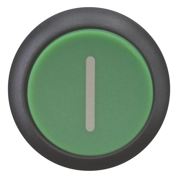 M22S-DH-G-X1 Pushbutton, RMQ-Titan, Extended, momentary, green, inscribed, Bezel: black image 5