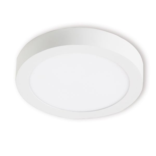 Downlight ALSD240PP IP20 14W 830/840 WH image 1