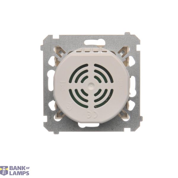 Momentary single switches with key - two positions ''0-1'', Silver matt, metalic, 5A image 1