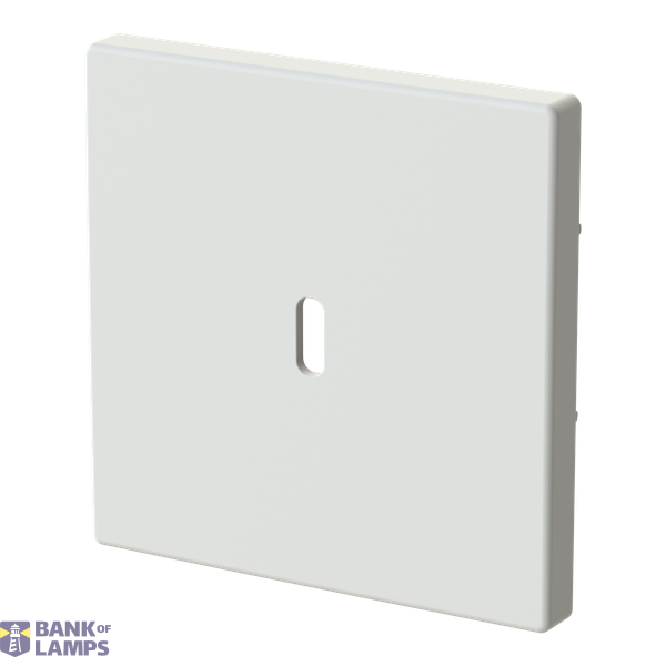6479-884-500 Cover plate for USB C power adapter image 2