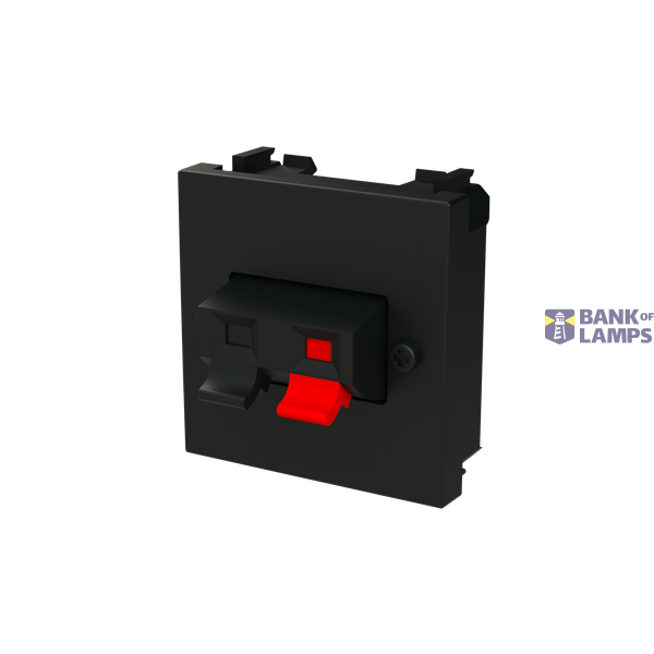 N2257.1 NT - Speaker terminals image 2