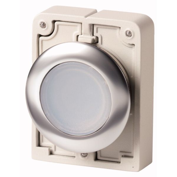 M30I-FDL-W Illuminated pushbutton actuator, RMQ-Titan, flat, momentary, White, blank, Front ring stainless steel image 1