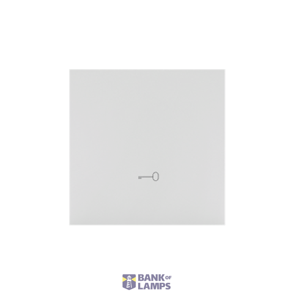 Single button with pictogram for switches and push buttons, light gray matt image 1
