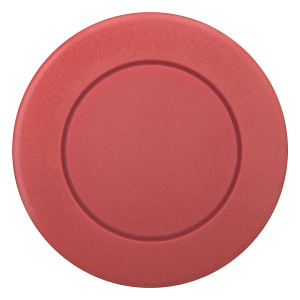 M22S-DP-R Mushroom actuator, RMQ-Titan, Mushroom, momentary, Mushroom red, red, Blank, Bezel: black image 4