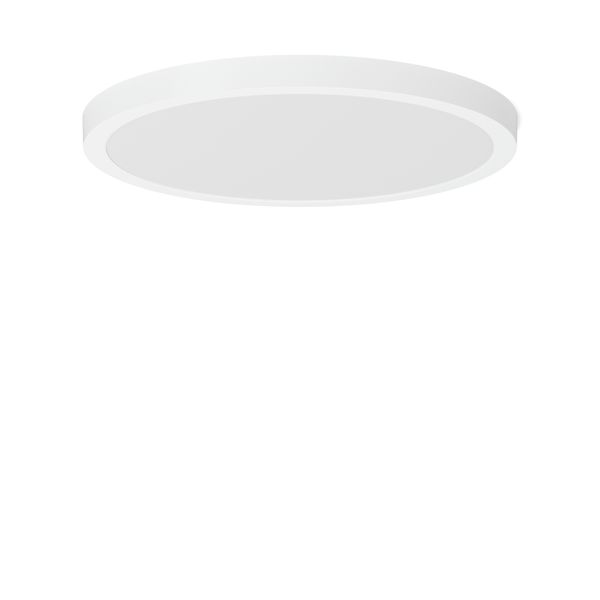 TRIXY round, 25...35 W, 3100...4450 lm, 830, 840, white, DALI Surface  image 2