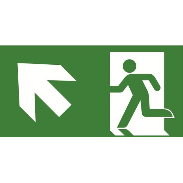 BLPISOP-2240E56 PrimEvo pictogram 45 arrow up L image 2
