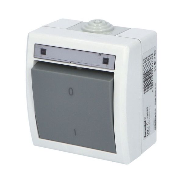 AQUANT TWO POLE SWITCH image 3