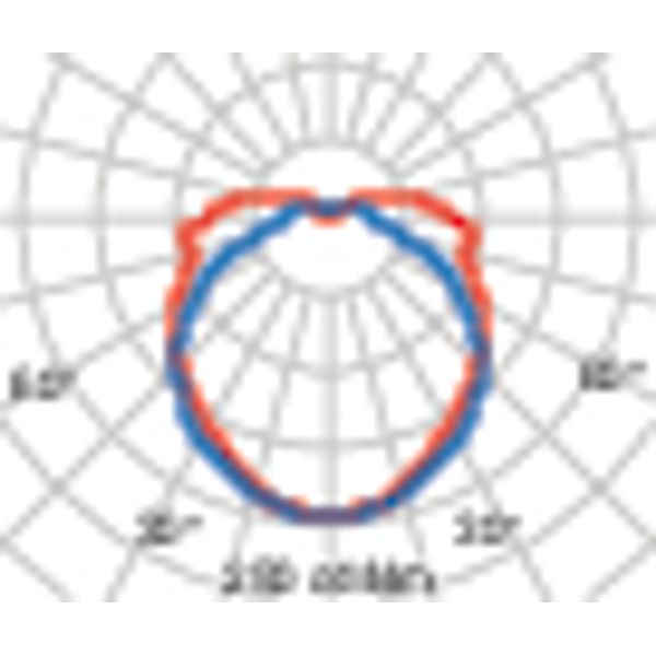 LANTERN NK2712 S/EW 830 ROESTBRUIN image 5