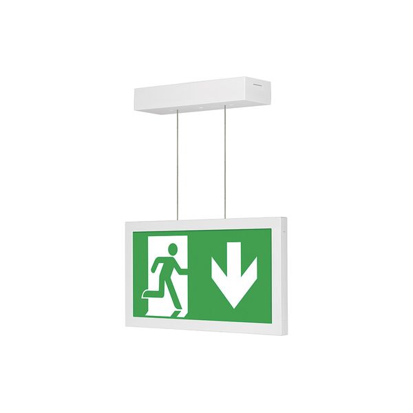 TYLIUS LED AL 101 M3h lamp for emergency and orientation lighting image 1