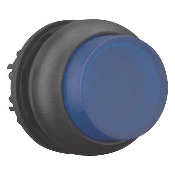 M22S-DRLH-B Illuminated pushbutton actuator, RMQ-Titan, Extended, maintained, Blue, Blank, Bezel: black image 7