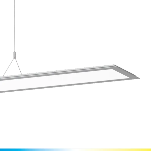 SL713+PL RXL 65 S/C 8TW GREY BT HCL MP image 2