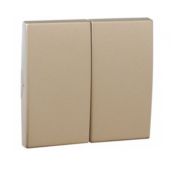 ROCKER F/DOUBLE-FUNCTION MECHANISM PLATINUM image 1