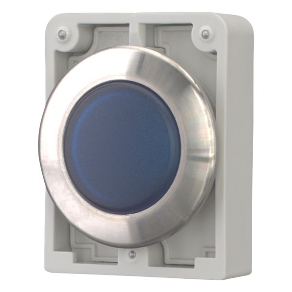 M30I-FL-B Indicator light, RMQ-Titan, flat, Blue, Front ring stainless steel image 2
