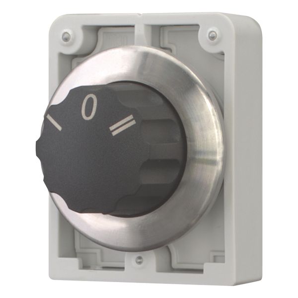 M30I-FW3 Changeover switch, RMQ-Titan, with rotary head, momentary, 3 positions, inscribed, Front ring stainless steel image 3