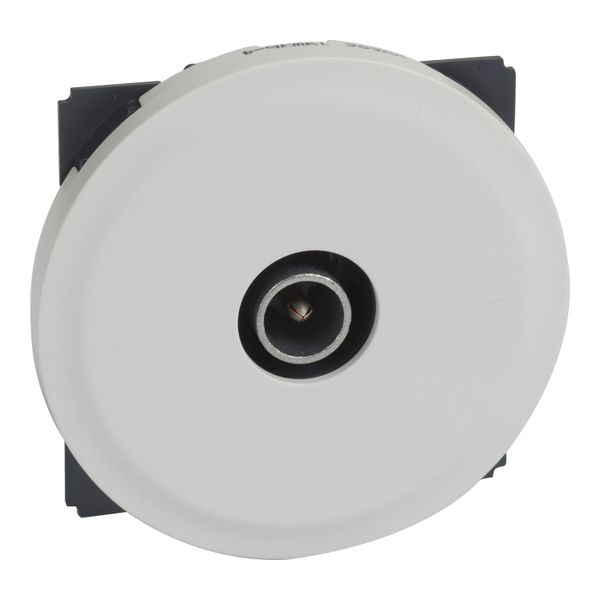 TV SIMPLE CELIANE image 1