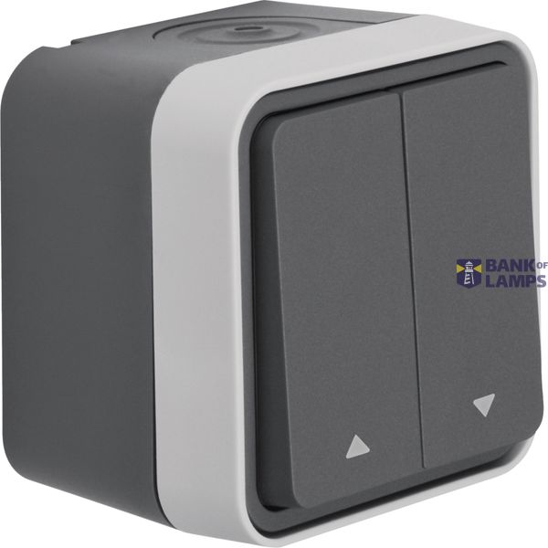 Blind push button with housing, W.1 ECO, grey image 1