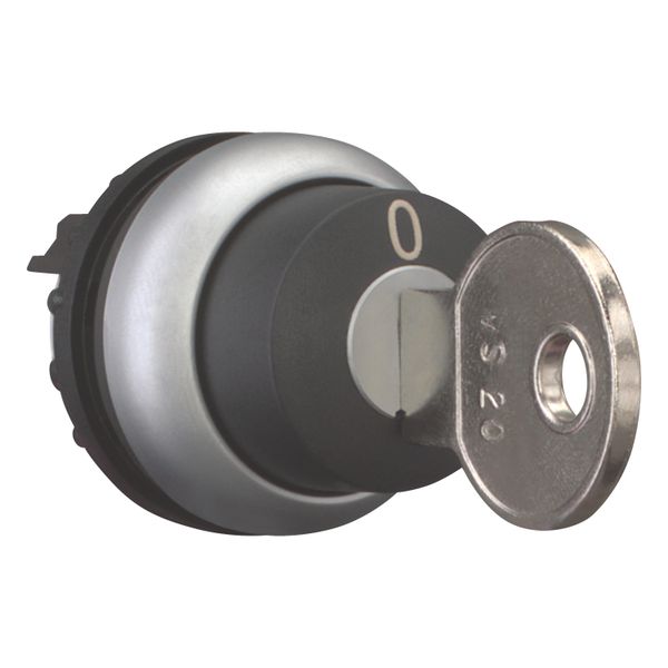 M22-WRS-MS20 Key-operated actuator, maintained, 2 positions, MS20, Key withdrawable: 0, I, Bezel: titanium image 7