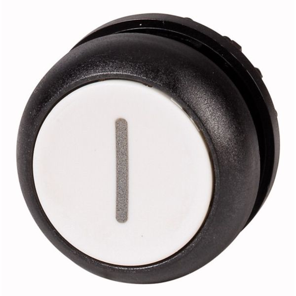 M22S-D-W-X1 Pushbutton, RMQ-Titan, Flat, momentary, White, inscribed, Bezel: black image 1