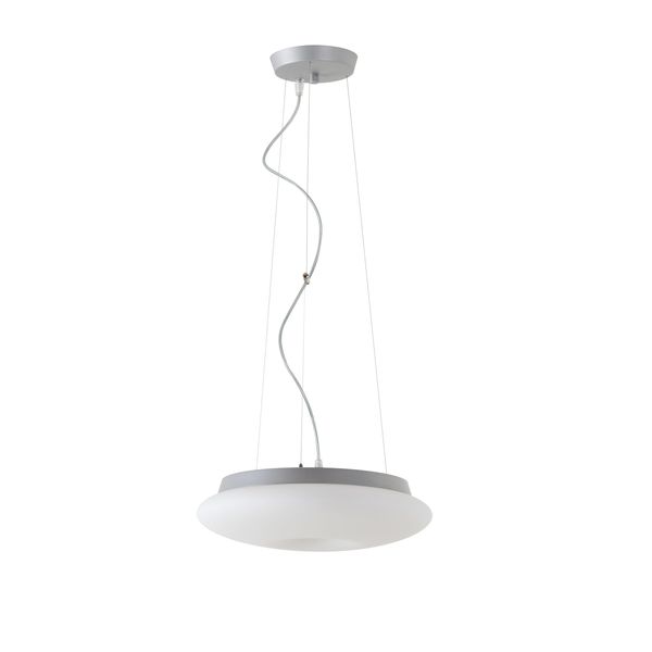 LED-1L61C03ZL11/462/L100 S 3000 image 1