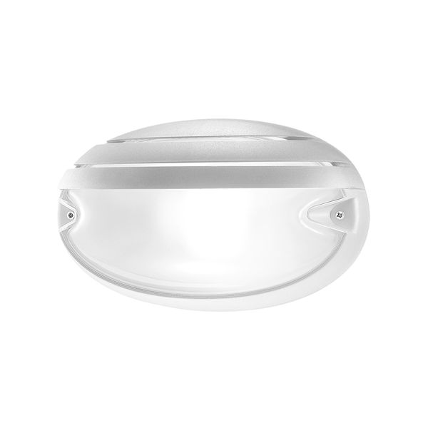 CHIP OVALE 25 GRILL WIT E27 image 2