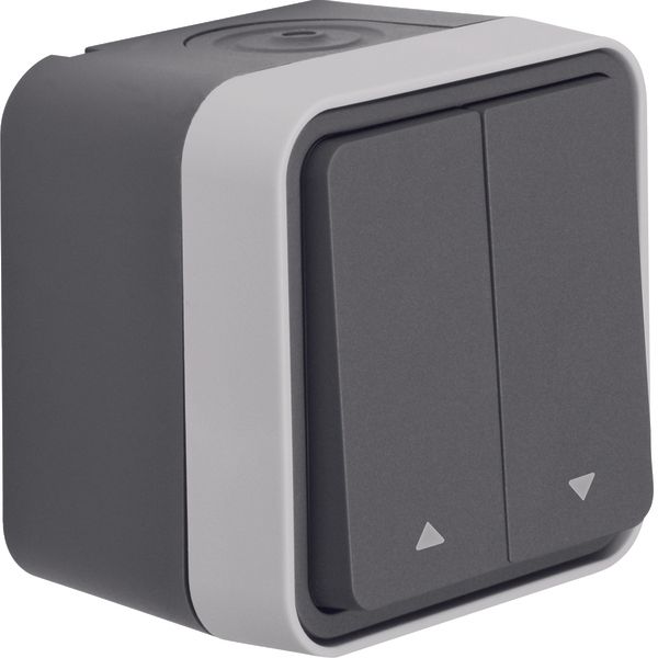 Blind push-button imprinted symbol arrow surface-mtd, W.1, grey/light image 1