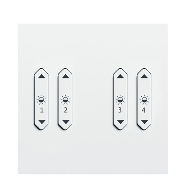 LM-RCW4 b+c+j+k - Rocker switch, 4x, light, white image 1