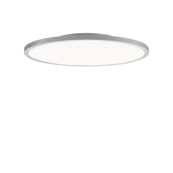 FL R+ 555 SM 44 S/B 830 GR9006 DALI OP image 1