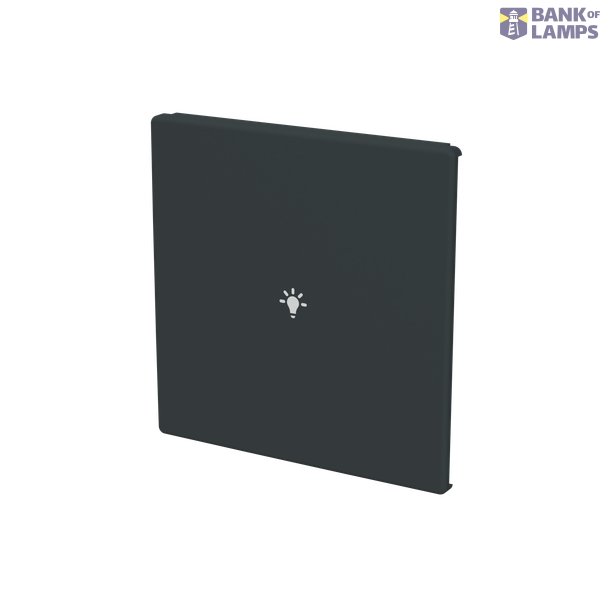 ESP 15Q/PT module image 2