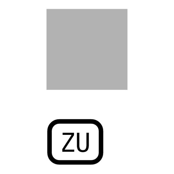 153LQ25 Insert label, transparent, TO image 1