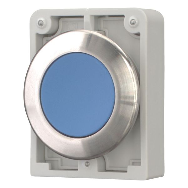 M30I-FDR-B Pushbutton, RMQ-Titan, flat, maintained, Blue, blank, Front ring stainless steel image 6