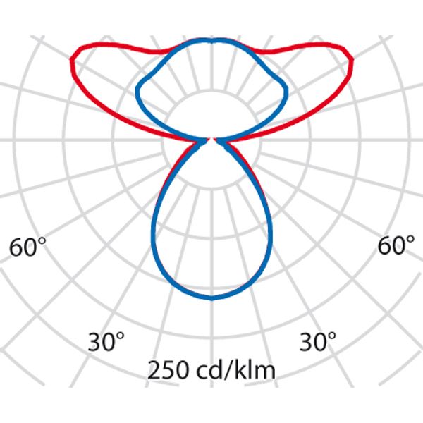 SL720+PL RXL 61 S/C 830 WIT BT-S MP image 8