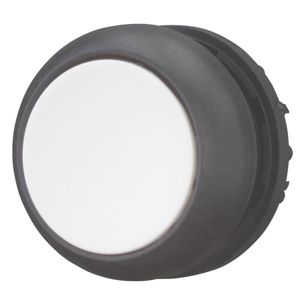 M22S-D-W Pushbutton, RMQ-Titan, Flat, momentary, White, Blank, Bezel: black image 9