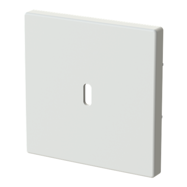 Central disc USB-C power adapter insert 65W image 2