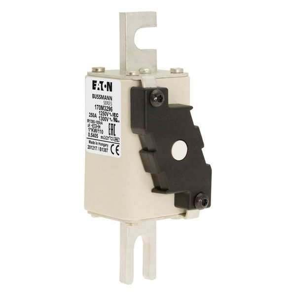 170M3296 FUSE 250A 1250V 1*KW/110 AR image 1