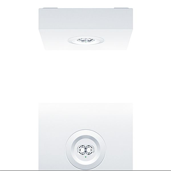 RESCLITE PRO MSC ANT E3D WH - Safety luminaire image 1