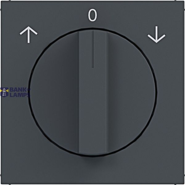 Central plate for rotary blind switch, A.x/C.x, anthracite image 1