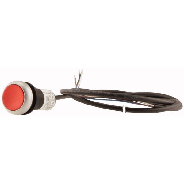 C22-D-R-K01-P62 Pushbutton, Flat, momentary, 1 NC, Cable (black) with non-terminated end, 4 pole, 1 m, red, Blank, Bezel: titanium image 3