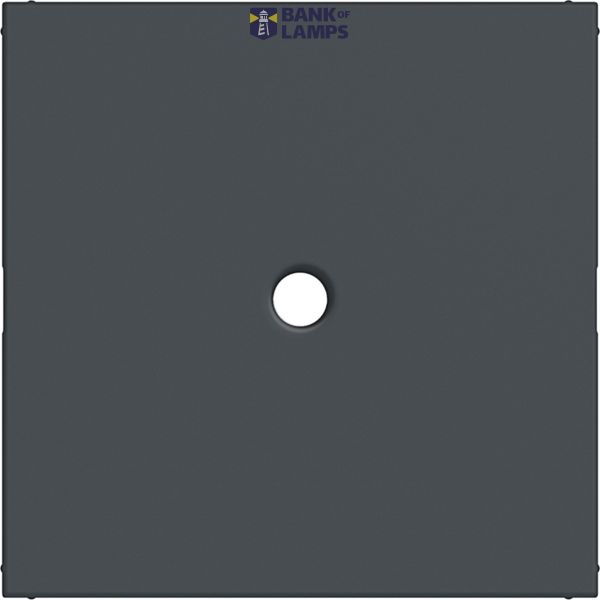 Central plate for switch/push button with pull handle, A.x/C.x, anthracite. image 1