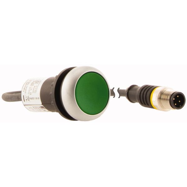 C22-D-G-K10-P3 Pushbutton, Flat, momentary, 1 N/O, Cable (black) with M12A plug, 4 pole, 0.5 m, green, Blank, Bezel: titanium image 4