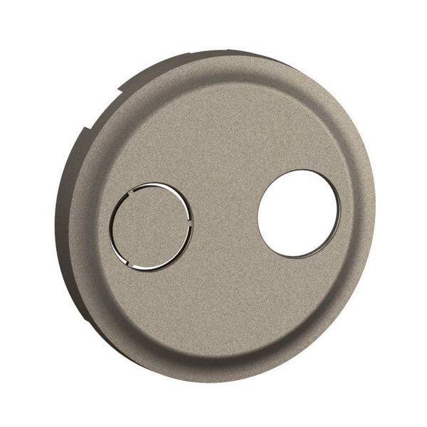 BROADBAND SKT OUTLET ROCKER TITANIUM image 2