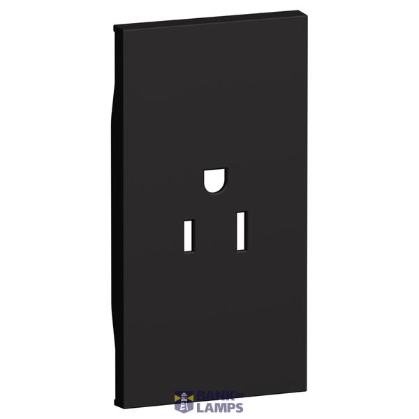 L.NOW - SOCKET COVER US 2P+T 2M BLACK image 1