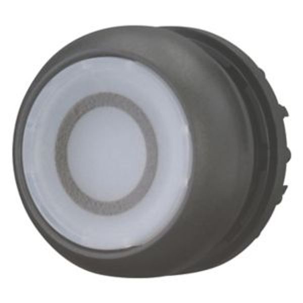M22S-DRL-W-X0 Illuminated pushbutton actuator, RMQ-Titan, Flush, maintained, White, inscribed 0, Bezel: black image 8
