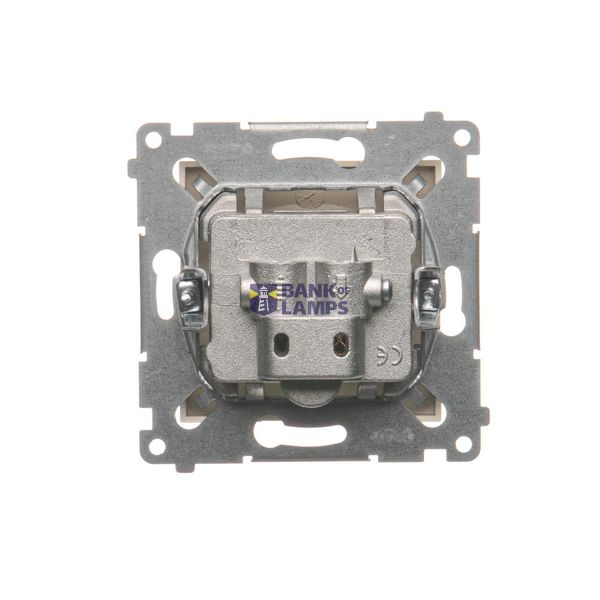 Intermediate switch, (module), 16AX, Screw, Bronze matt, metalic image 1