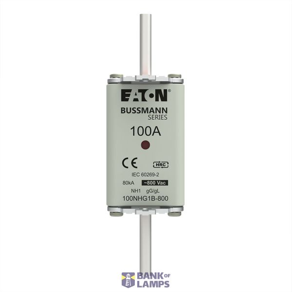 Fuse-link, LV, 100 A, 800 V AC, NH1, Class gG/gL image 1