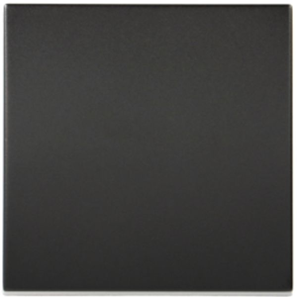 Switch with return 10A, 230V, black, 2M QC image 1