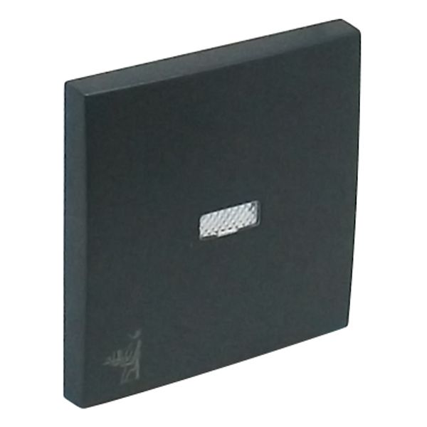 ROCK F/LIGHT SWITCH/PUSH-BUT W/MAID SYMB GRAY image 2