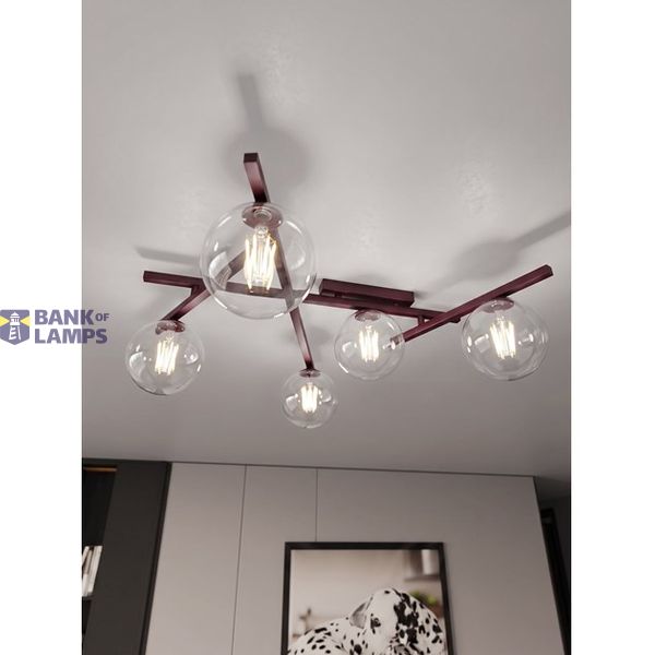 SMART 5 BURGUNDY TRANSPARENT image 1