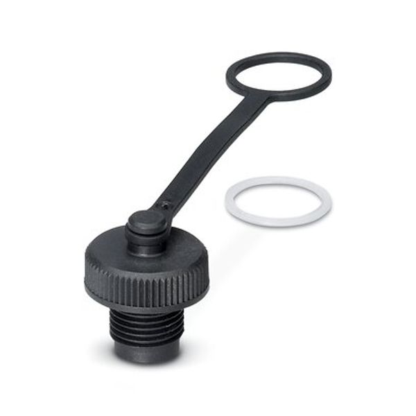 PROT-M12 MS-PA-CHAIN-EYE-DM14 - Sealing cap image 3