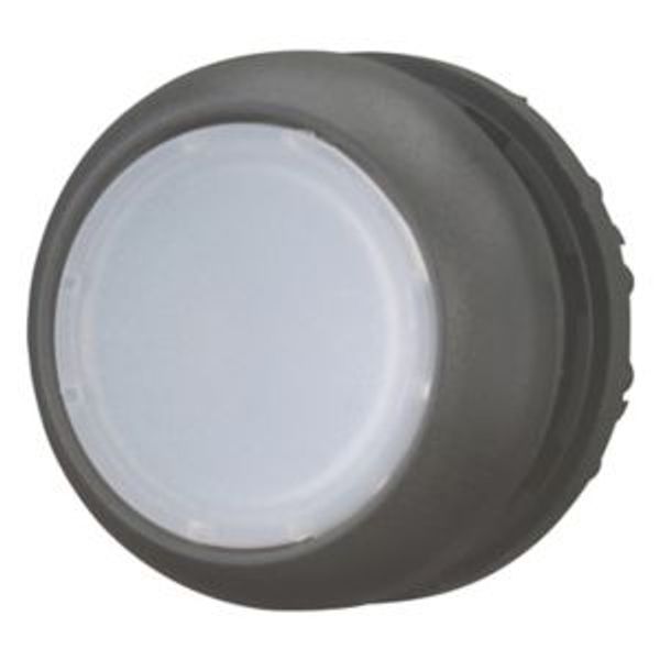 M22S-DL-W Illuminated pushbutton actuator, RMQ-Titan, Flush, momentary, White, Blank, Bezel: black image 2