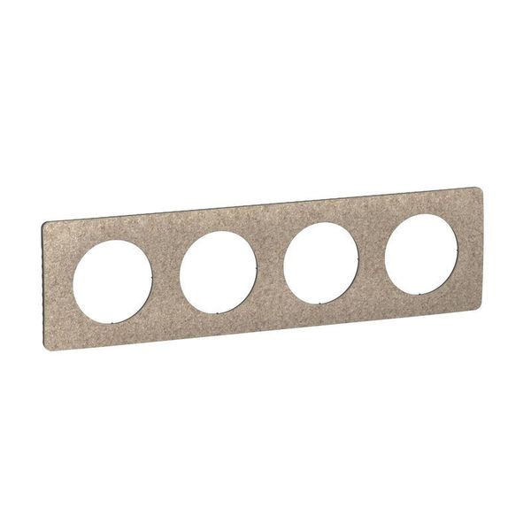 PLATE 4 GANG FELT image 2